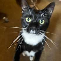 Thumbnail photo of Nena #2