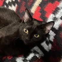 Thumbnail photo of winston #2