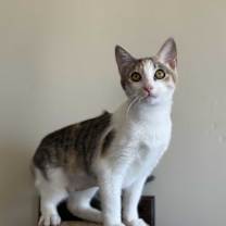 Thumbnail photo of Tiana #3