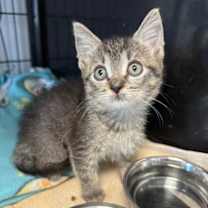 Thumbnail photo of Dewdrop #3