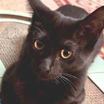 Thumbnail photo of Jackie #1