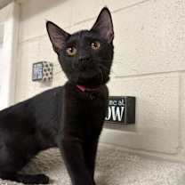 Thumbnail photo of Jam #1