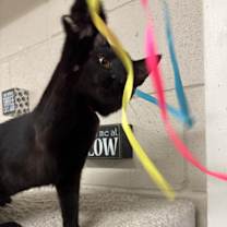 Thumbnail photo of Jam #2