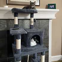 Thumbnail photo of Zoe #2