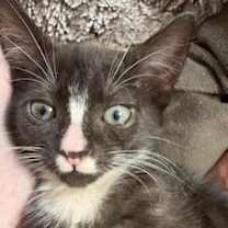 Thumbnail photo of Jack Frost Jr #1