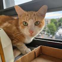 Thumbnail photo of Fteley River #2