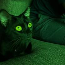 Thumbnail photo of Luna XXXII (New Digs) #4