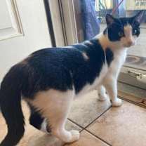 Thumbnail photo of Ramona #3