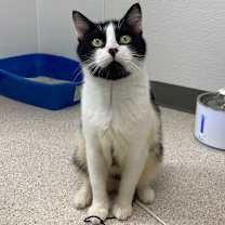 Thumbnail photo of James #2