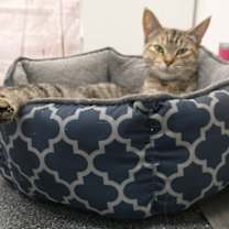 Thumbnail photo of Tilly (Happy SIngle) #3