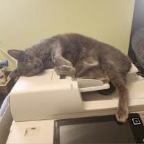 Thumbnail photo of Spencer #2