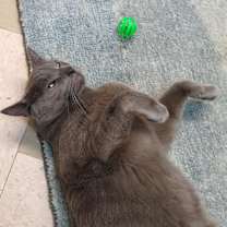 Thumbnail photo of Spencer #4