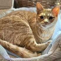 Thumbnail photo of SUZY #1