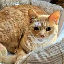 Thumbnail photo of SUZY #2