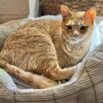 Thumbnail photo of SUZY #3