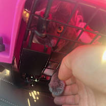 Thumbnail photo of Rum Tum Tugger #4