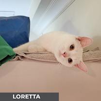 Thumbnail photo of Loretta #2