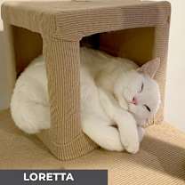 Thumbnail photo of Loretta #4