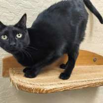 Thumbnail photo of Jasmine #2