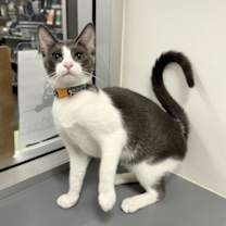 Thumbnail photo of Rachel #2