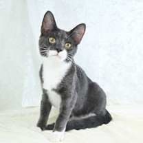 Thumbnail photo of Bitsy #1