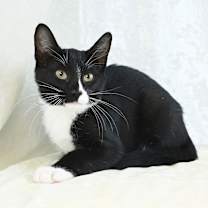 Thumbnail photo of Lefty #2