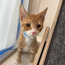 Thumbnail photo of Ernie #2