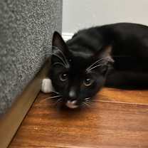 Thumbnail photo of Snuffy #3