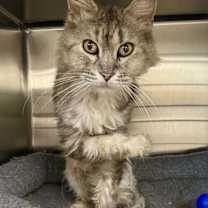 Thumbnail photo of Patsy #3