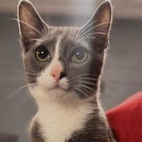 Thumbnail photo of Gary #2