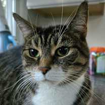 Thumbnail photo of SASHA #4