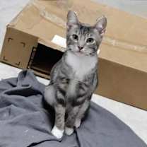 Thumbnail photo of PONDEROSA #2