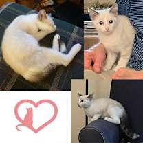 Thumbnail photo of Theo #1