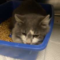 Thumbnail photo of Billy #2