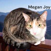 Thumbnail photo of Megan Joy #2