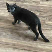 Thumbnail photo of Heather #1