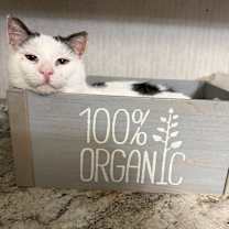 Thumbnail photo of George #2