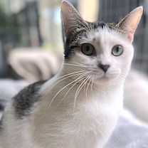 Thumbnail photo of TREASURE #3