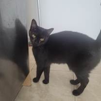 Thumbnail photo of Mystic #1