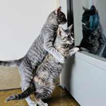 Thumbnail photo of Liv #4