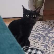 Thumbnail photo of Mystic #2