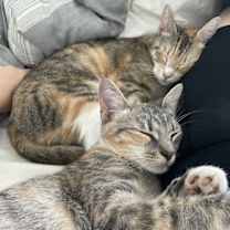 Thumbnail photo of June and Bug #4