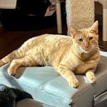 Thumbnail photo of Lloyd  #1