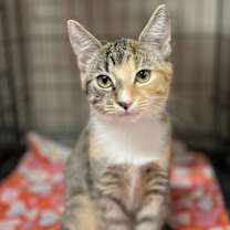 Thumbnail photo of Tina #1