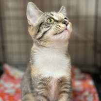 Thumbnail photo of Tina #2