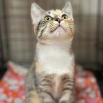 Thumbnail photo of Tina #3