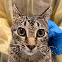 Thumbnail photo of Oasis #2