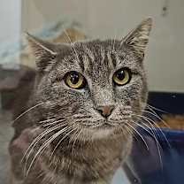 Thumbnail photo of Carmen-City of Industry Location #2