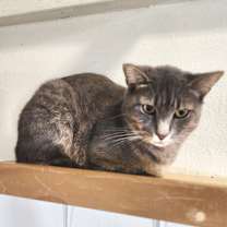 Thumbnail photo of Carmen-City of Industry Location #3