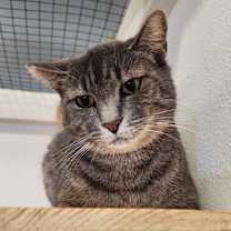 Thumbnail photo of Carmen-City of Industry Location #4